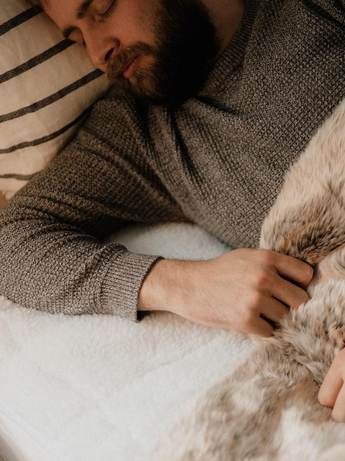 Dreamland Double Dual Control Scandi Sherpa Underblanket