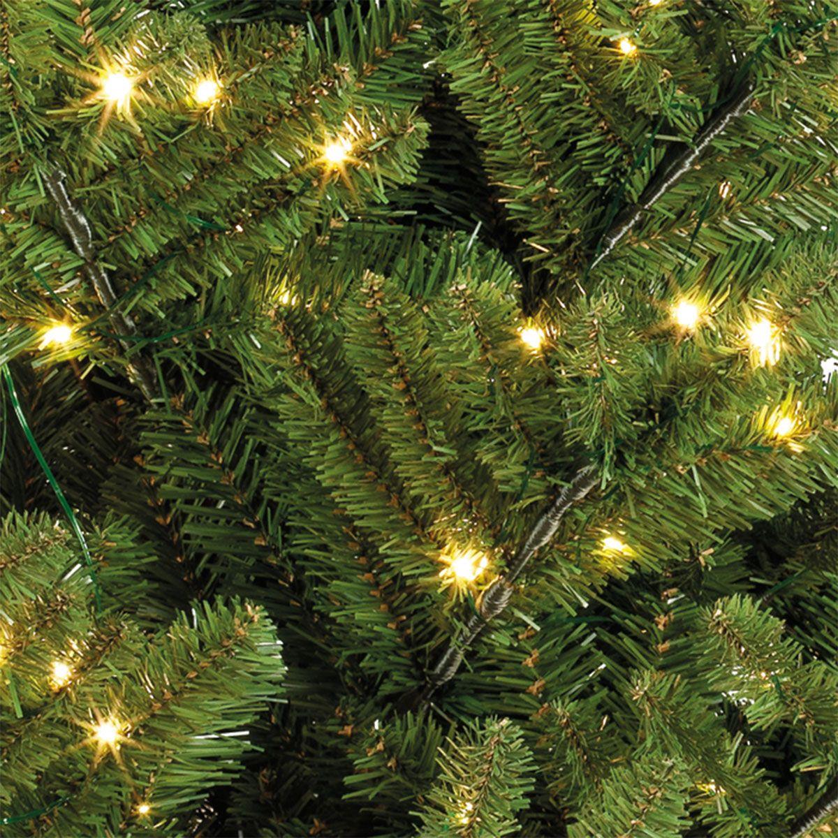 SnowTime Everlands 6ft Liberty Spruce Pre-Lit Traditional Christmas Tree