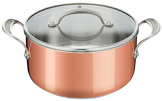 Tefal Copper Induction Premium 20cm Stewpot