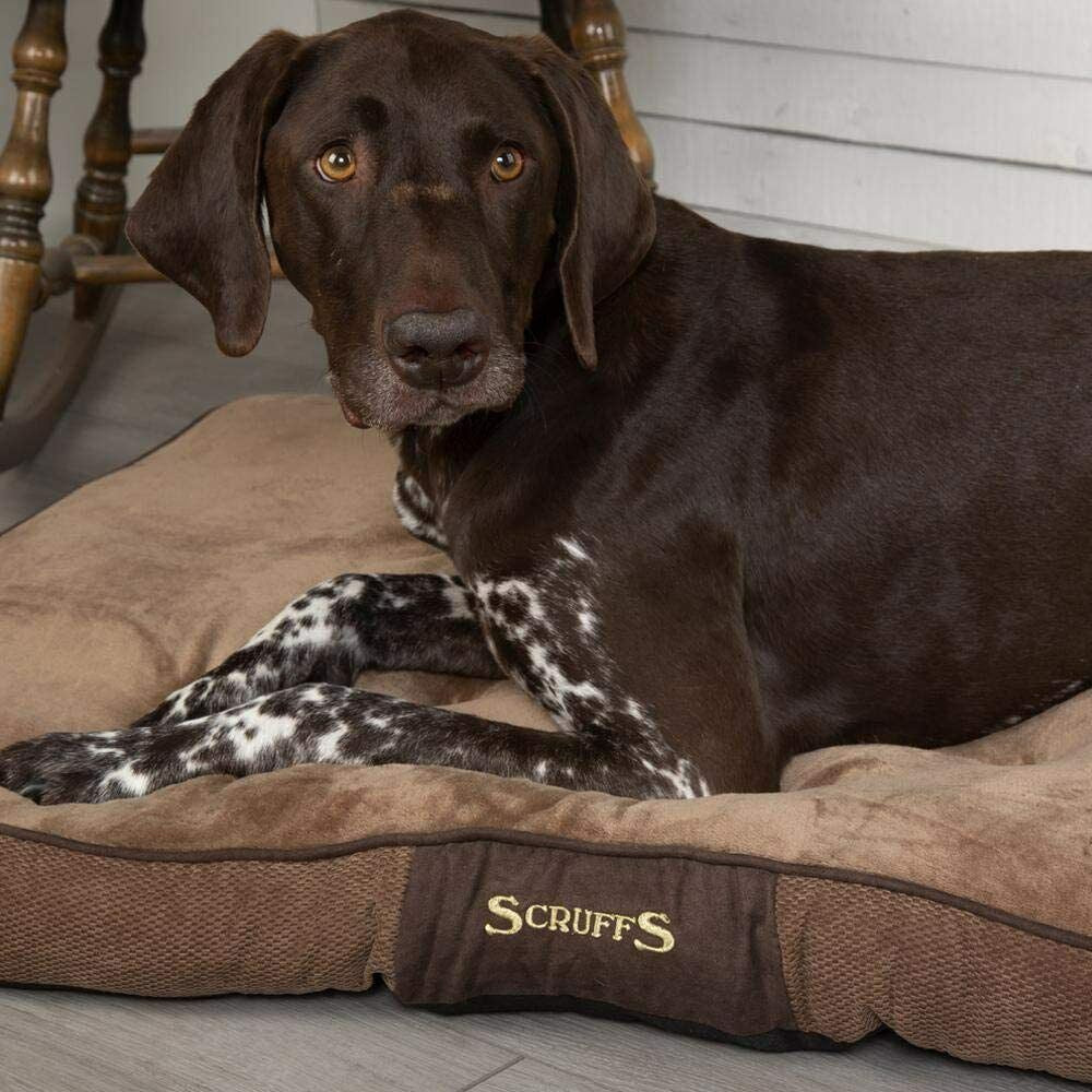 Scruffs Chocolate (large) Chester Mattress
