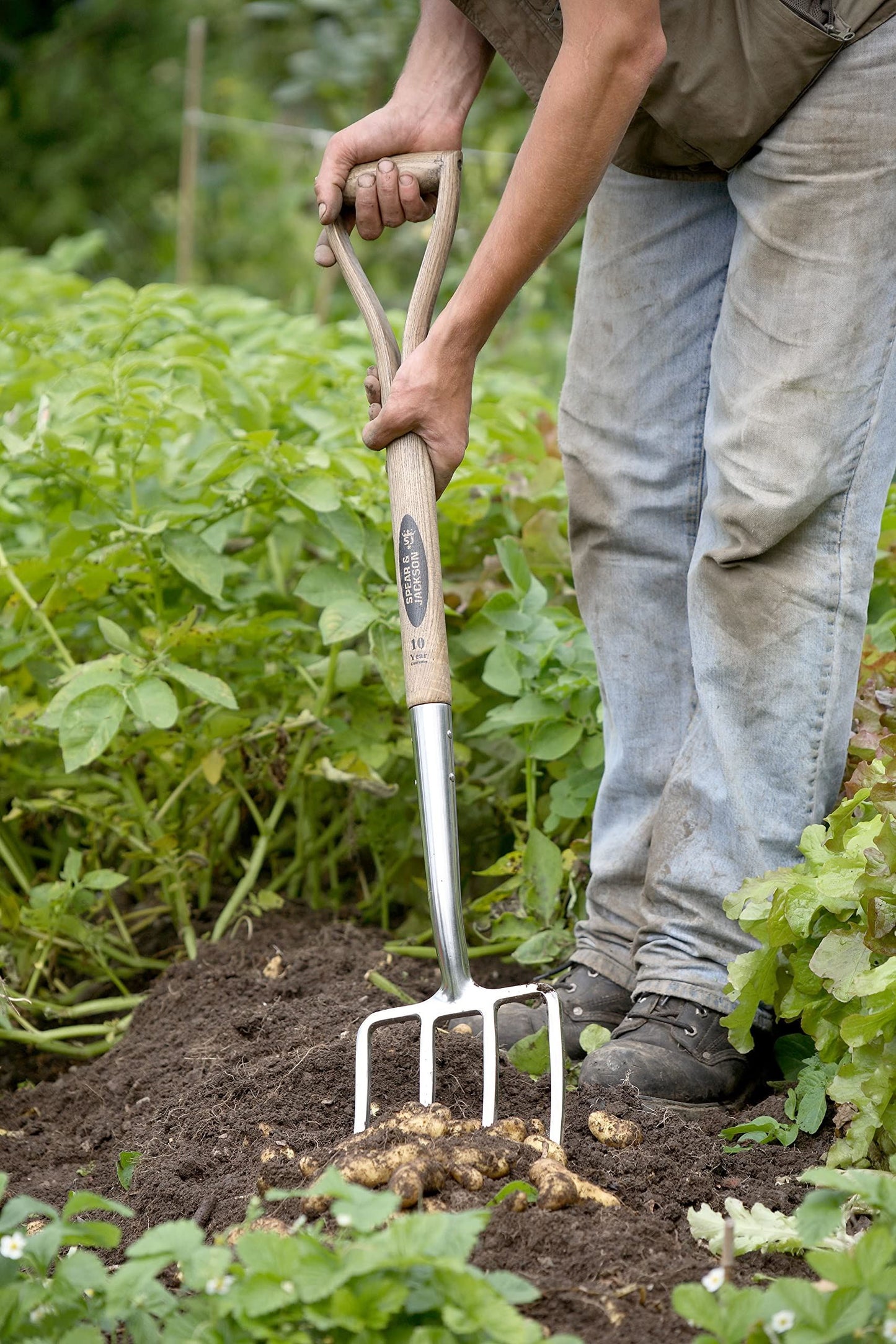 Spear & Jackson 4550DF Traditional Stainless Steel Digging Fork