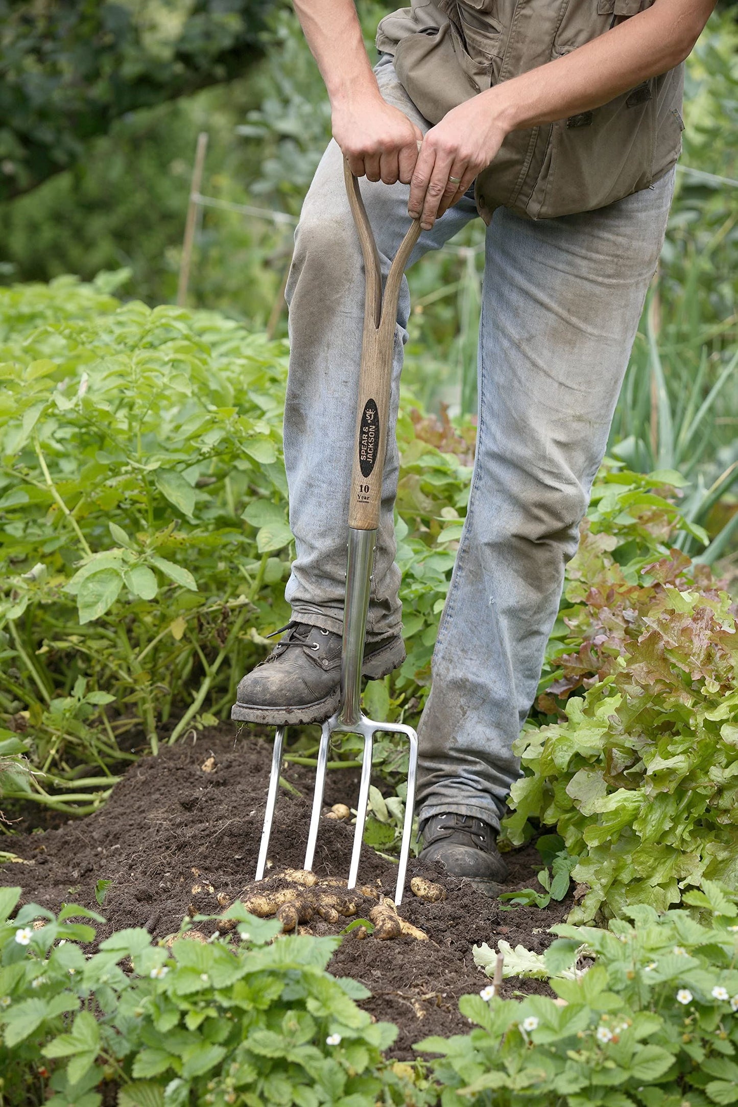 Spear & Jackson 4550DF Traditional Stainless Steel Digging Fork