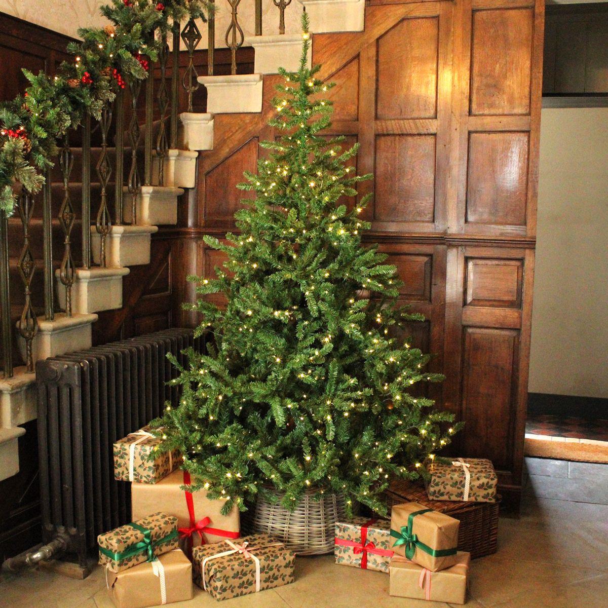 SnowTime Everlands 6ft Liberty Spruce Pre-Lit Traditional Christmas Tree