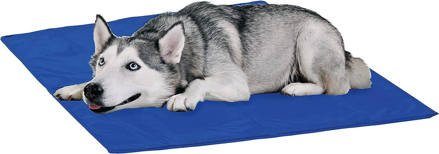 Streetwize Pet Cool Mat