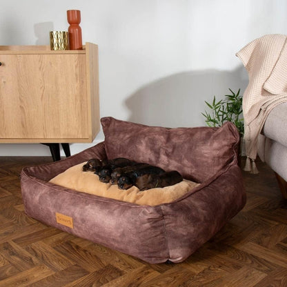 Scruffs Chocolate (XL) Kensington Box Bed