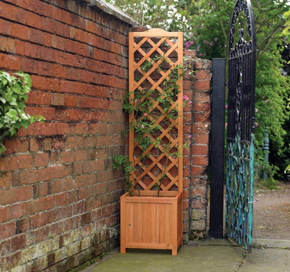 Kingfisher Square Planter Climber with Thin Back Trellis