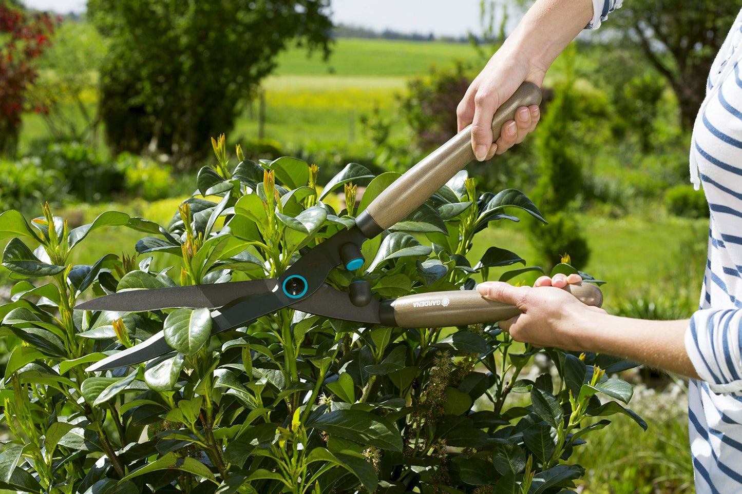 Gardena Naturecut Hedge Clippers: Sturdy Clippers for Cutting Hedges and Thicker Branches, 23 cm, with Non-Stick Blade Coating and Ergonomic Wooden Handles (12300-20)