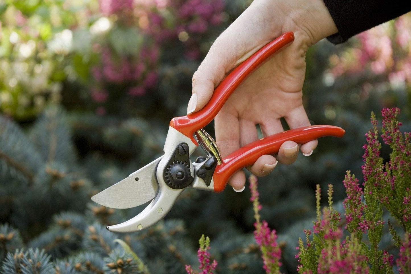Spear and Jackson 6657BS Razorsharp Professional Pro Short Blade Heavy Duty Bypass Secateurs, Red, Small