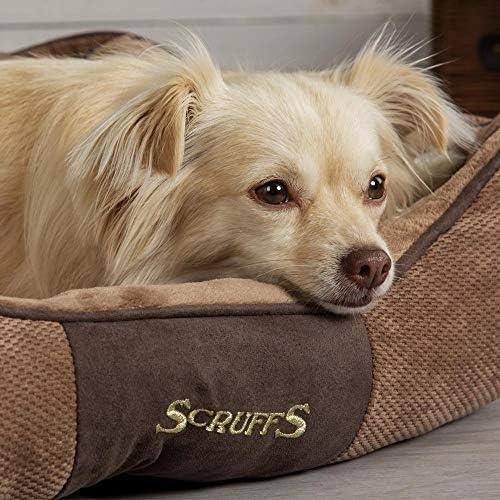 Scruffs Chocolate (L) Chester Box Bed